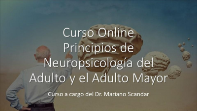 Principios de Neuropsicología del adulto y el adulto mayor
